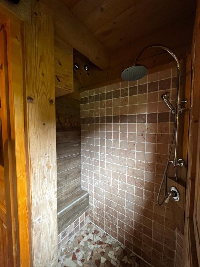 Chalet Le Pre De La Dame Epagny Metz-Tessy ภายนอก รูปภาพ